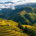 Mù Cang Chải mùa lúa chín: Thời tiết và kinh nghiệm đi đường