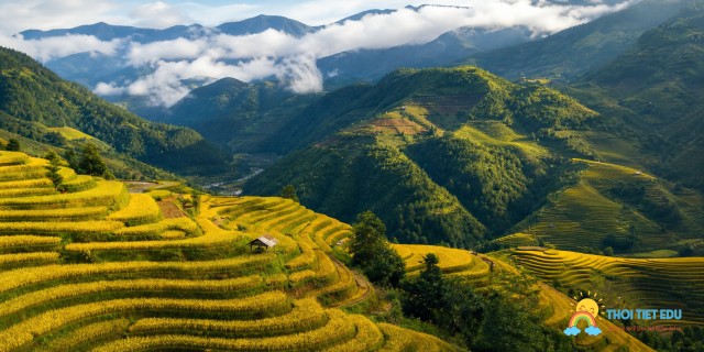 Mù Cang Chải mùa lúa chín: Thời tiết và kinh nghiệm đi đường